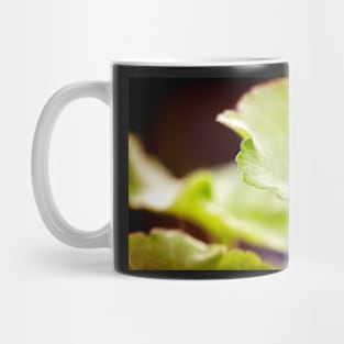 Geranium leaf Mug